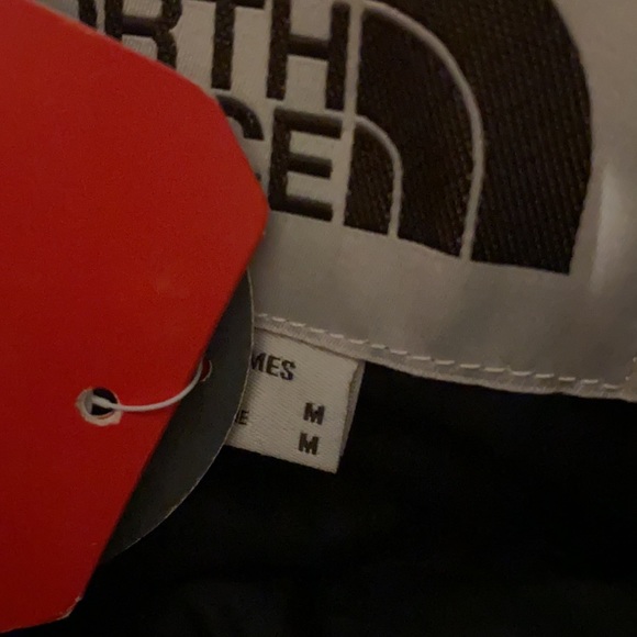 The North Face Sierra Down Parka - Picture 14 of 16